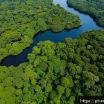 Home 20 환경영향평가 EIA 절차 - A detailed aerial view of a diverse Brazilian Amazon rainforest landscape during daytime, showing ri...