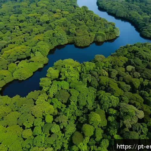 Home 32 환경영향평가 EIA 절차 - A detailed aerial view of a diverse Brazilian Amazon rainforest landscape during daytime, showing ri...