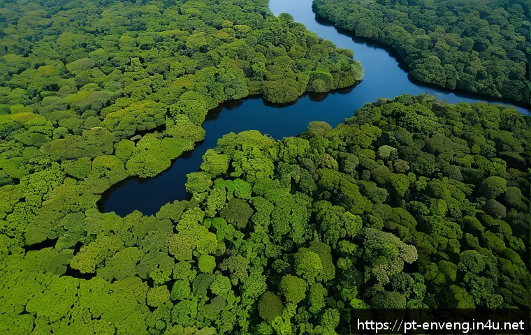 환경영향평가 EIA 절차 - A detailed aerial view of a diverse Brazilian Amazon rainforest landscape during daytime, showing ri...